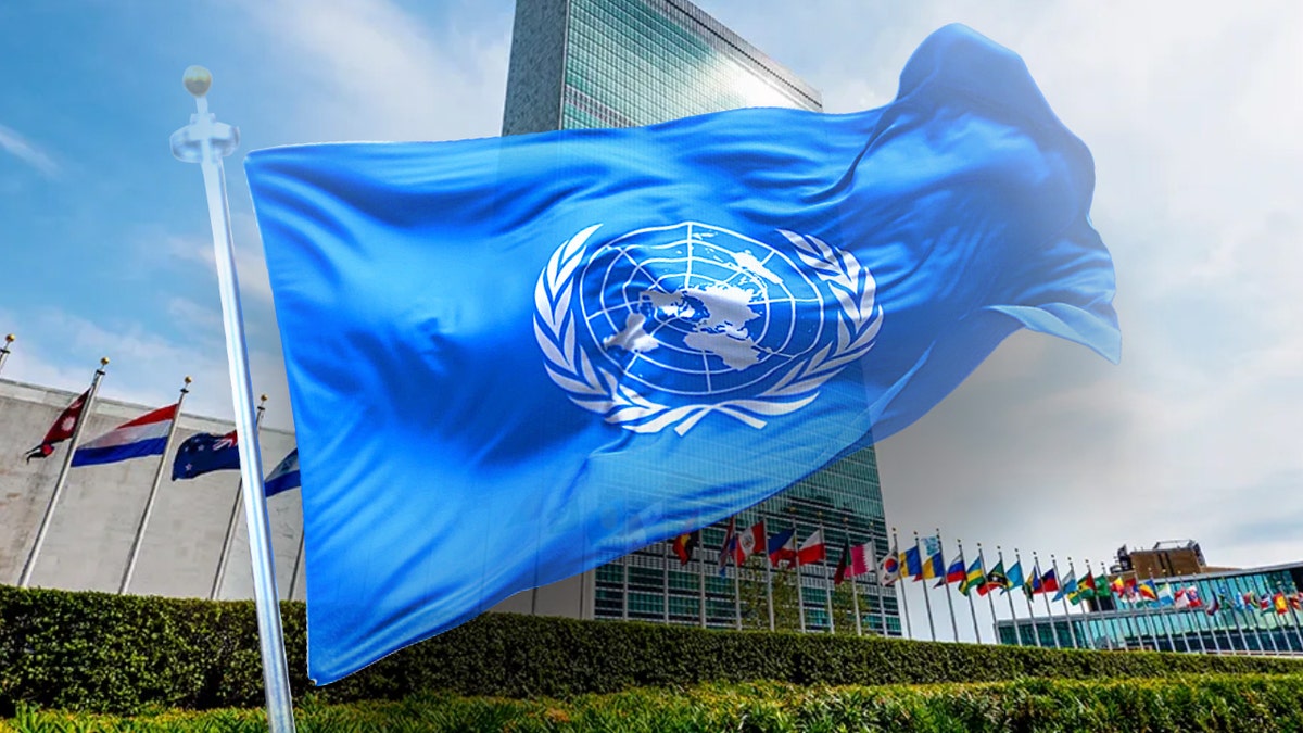 United Nations 